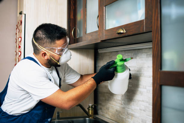 Best Flea Control Services  in Nashville, AR