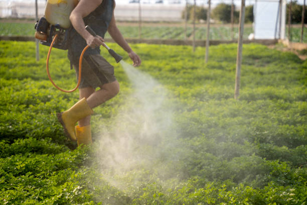 Best Best Pest Control Companies  in Nashville, AR