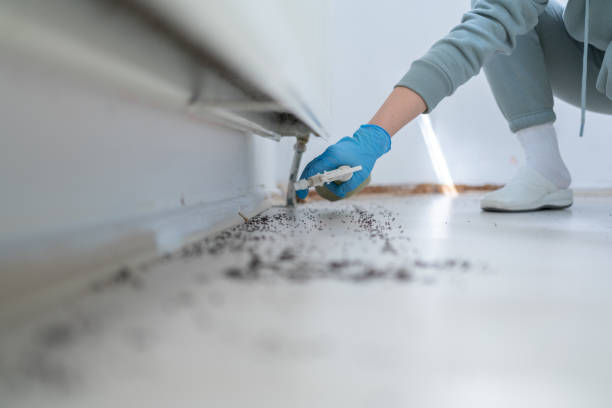Best Pest Prevention Services  in Nashville, AR