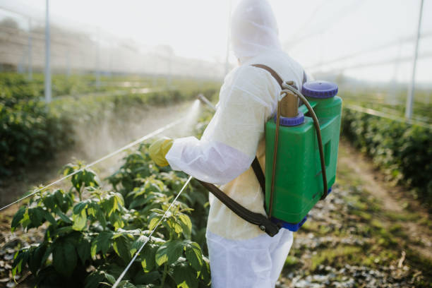 Best Exterminator Services  in Nashville, AR